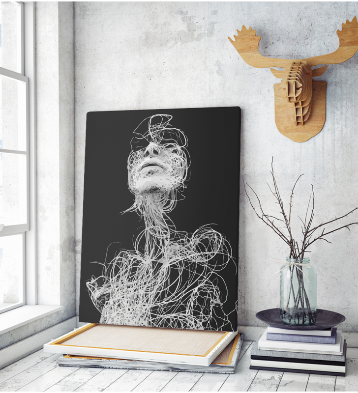 Πίνακας σε Καμβά : Art Of Line