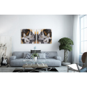 Σύνθεση Με Πίνακες Καμβάδες 60x60 - 2 Τεμάχια - Lady Gold Flowers