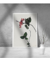 Εκτύπωση σε Αφίσα Χαρτί Floral