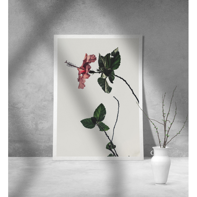 Εκτύπωση σε Αφίσα Χαρτί Floral
