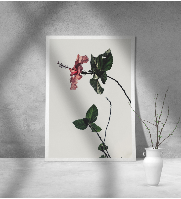 Εκτύπωση σε Αφίσα Χαρτί Floral