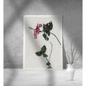 Εκτύπωση σε Αφίσα Χαρτί Floral