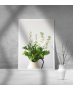 Εκτύπωση σε Αφίσα Χαρτί Flower Vase