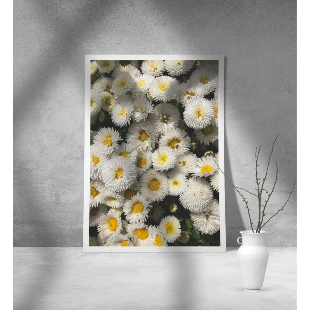 Εκτύπωση σε Αφίσα Χαρτί Daisy