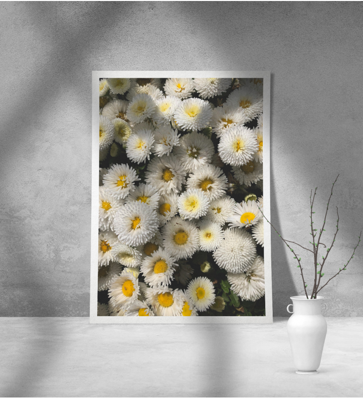 Εκτύπωση σε Αφίσα Χαρτί Daisy