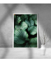 Εκτύπωση σε Αφίσα Χαρτί Green Leafs Poster