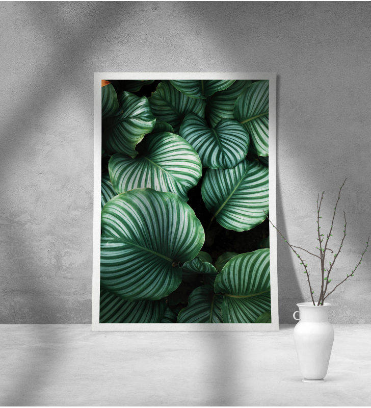 Εκτύπωση σε Αφίσα Χαρτί Green Leafs Poster