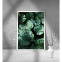 Εκτύπωση σε Αφίσα Χαρτί Green Leafs Poster