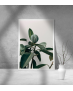 Εκτύπωση σε Αφίσα Χαρτί Minimal Leafs