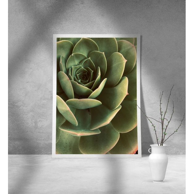 Εκτύπωση σε Αφίσα Χαρτί Green Cactus