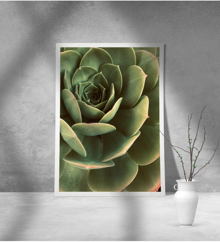 Εκτύπωση σε Αφίσα Χαρτί Green Cactus