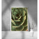 Εκτύπωση σε Αφίσα Χαρτί Green Cactus