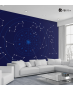 Αυτοκόλλητη Ταπετσαρία Τοίχου 3d : Astrological Map