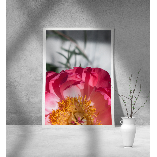 Εκτύπωση σε Αφίσα Χαρτί Flower