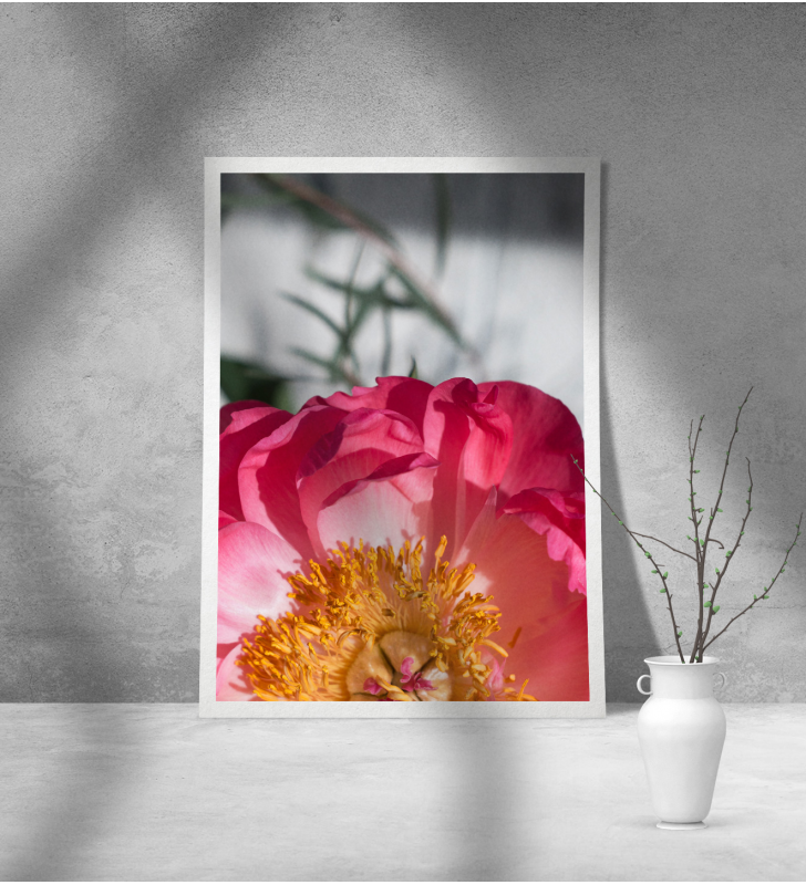 Εκτύπωση σε Αφίσα Χαρτί Flower