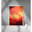 Εκτύπωση σε Αφίσα Χαρτί Orange Abstract Photography