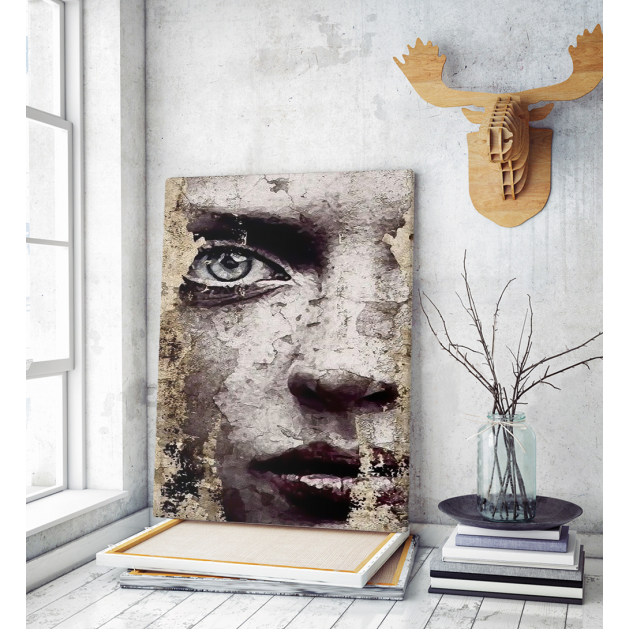Πίνακας σε Καμβά : Wall Effect Portrait