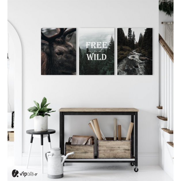 Σύνθεση Με Πίνακες Καμβάδες 30x40 - 3 Τεμάχια - Free & Wild
