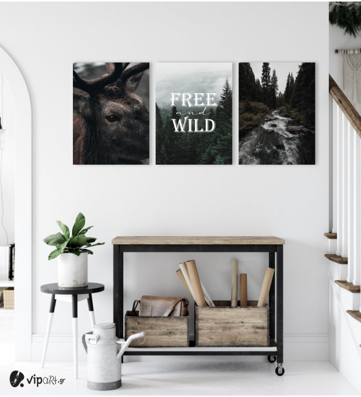 Σύνθεση Με Πίνακες Καμβάδες 30x40 - 3 Τεμάχια - Free & Wild