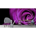 Ταπετσαρία Τοίχου Purple rose Flower