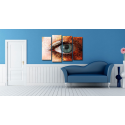 Καμβάς Τετράπτυχος Eye Camera