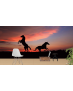 Ταπετσαρία Τοίχου Horses Sunset