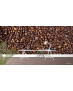Ταπετσαρία Τοίχου Coffee Beans