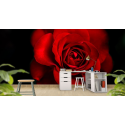 Ταπετσαρία Τοίχου Rose Red&Black