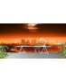 Ταπετσαρία Τοίχου Los Angeles Sunset Lights
