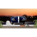 Ταπετσαρία Τοίχου Carice Mk1 Supercar