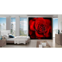Αυτοκόλλητο Επίπλων  "Rose"