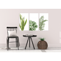 Σύνθεση Με Πίνακες Καμβάδες 110x60- 3 Τεμάχια - πράσινα φυτά - Plants