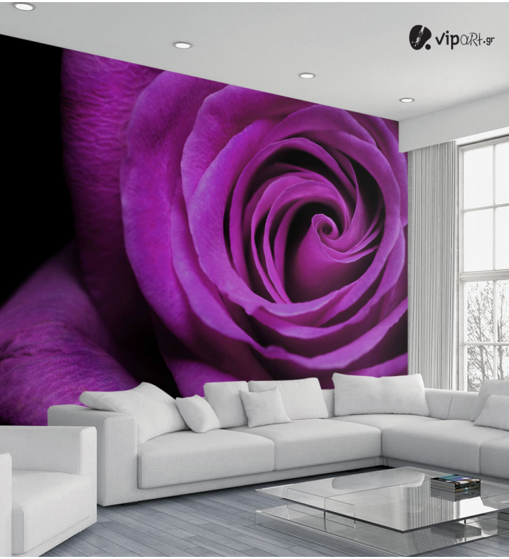Ταπετσαρία Τοίχου  Μωβ τριαντάφυλλο - Purple rose Flower