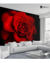 Ταπετσαρία Τοίχου Rose Red&Black