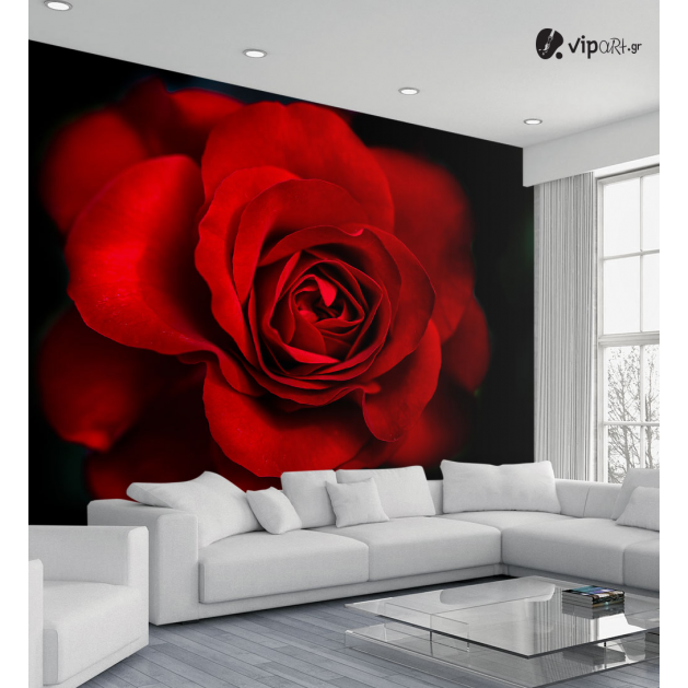 Ταπετσαρία Τοίχου Rose Red&Black