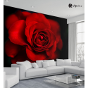 Ταπετσαρία Τοίχου Rose Red&Black