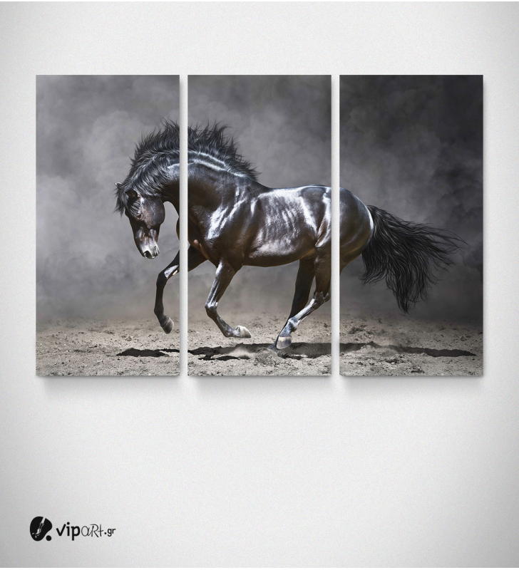Καμβάς Τρίπτυχος Πίνακας Μαύρο Άλογο
