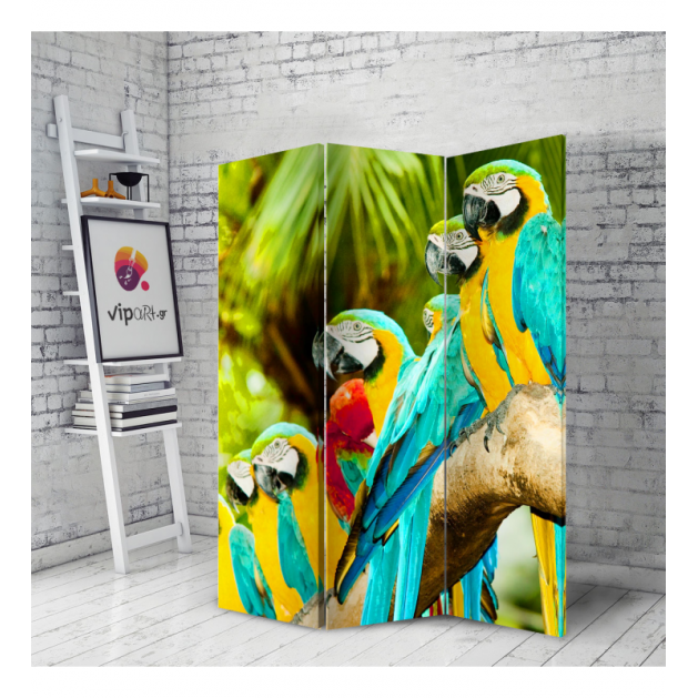 Διακοσμητικό Παραβάν παπαγάλος Beautiful Macaw