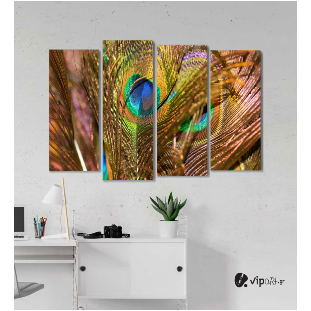 Πίνακας Καμβάς Τετράπτυχος Peacock Feather