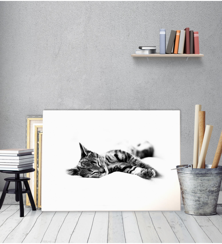 Πίνακας Καμβάς Sleepy Kitty