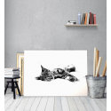Πίνακας Καμβάς Sleepy Kitty