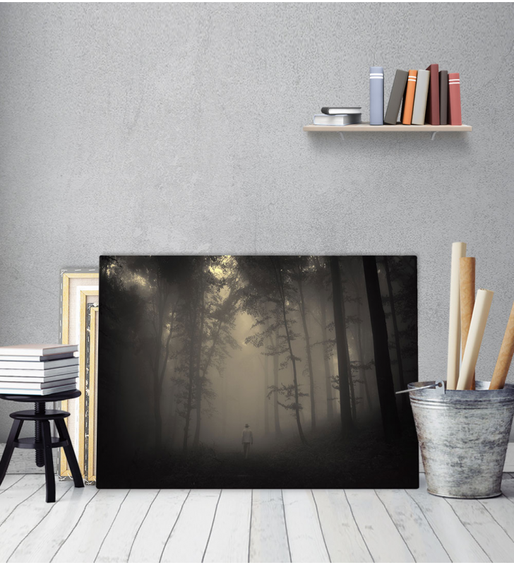 Πίνακας Καμβάς Ομίχλη Δάσος Fog Forest Man