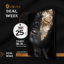 Deal of The Week Εκτύπωση φωτογραφίας η σχέδιο σε Πίνακα καμβά με τελάρο 50x70