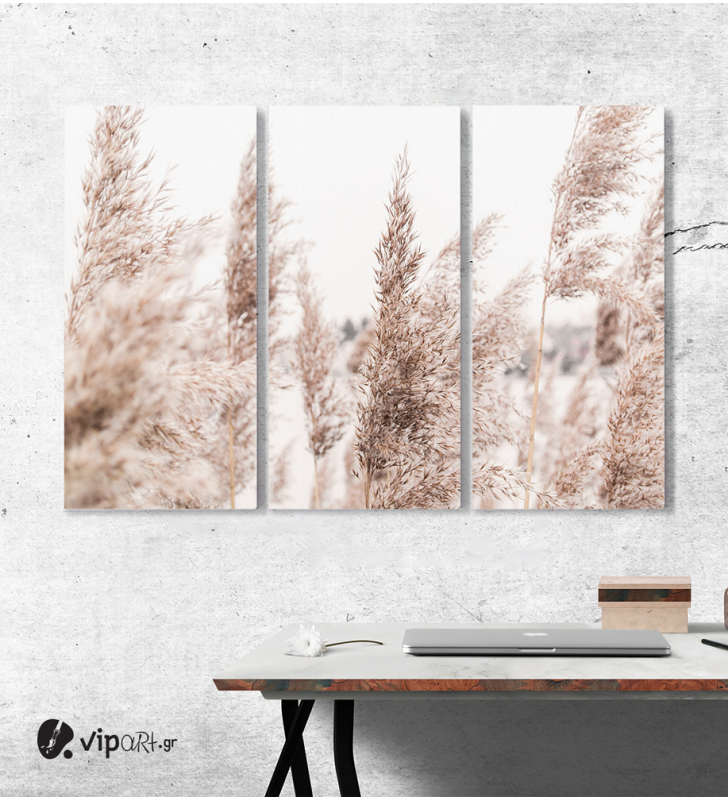Πίνακας Καμβάς Τρίπτυχος Common reed Autumn